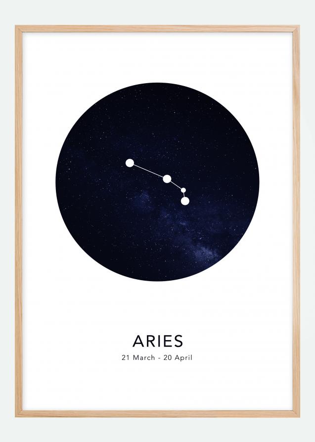 Aries Plakat