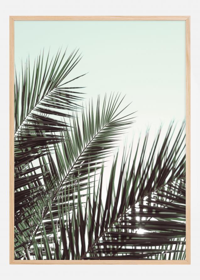 Palm leaves sky Plakat