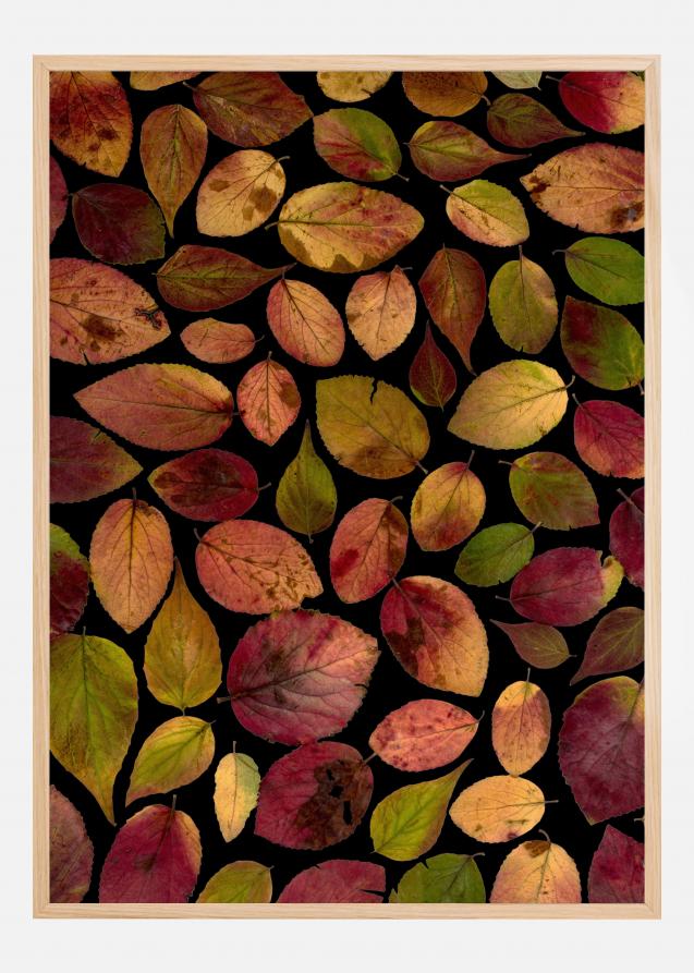 Autum Leafs Plakat