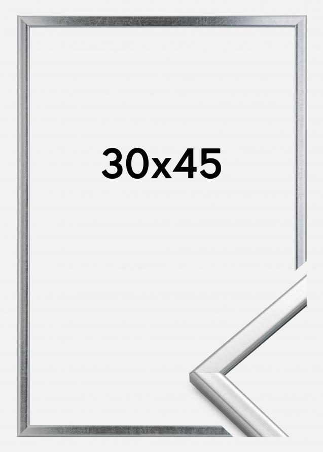 Ramme Slim Mat antirefleksglas Sølv 30x45 cm