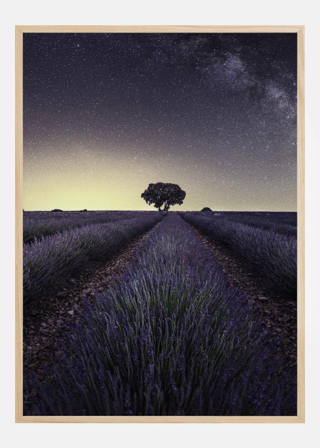 Lavender Fields Plakat