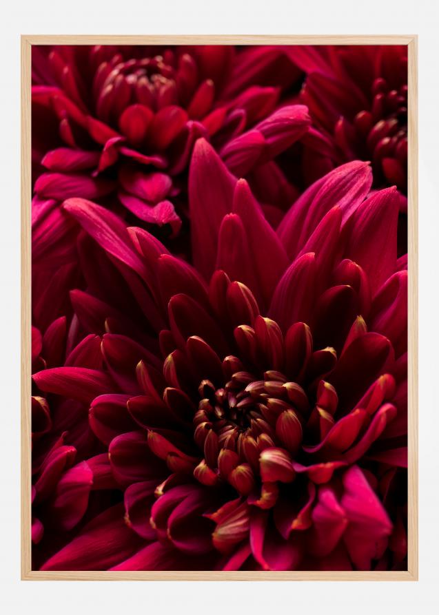 Cerise Flower Plakat