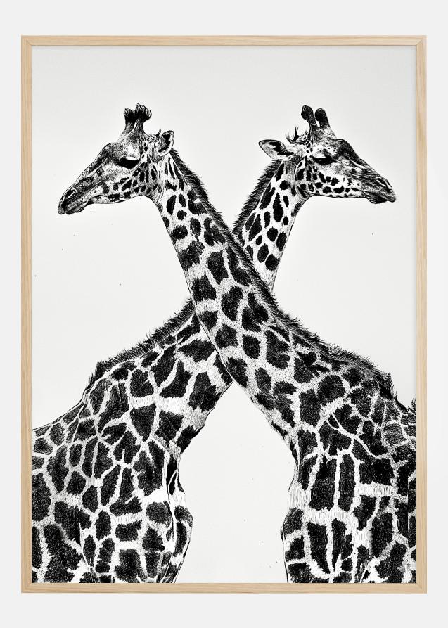 Two giraffe towers Plakat
