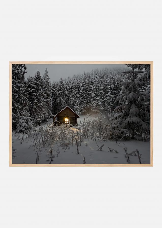 Sommerhus i vinterfrakke Plakat