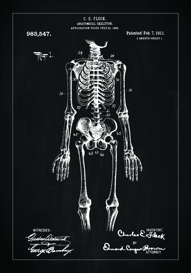 Patenttegning - Skelet I - Sort Plakat