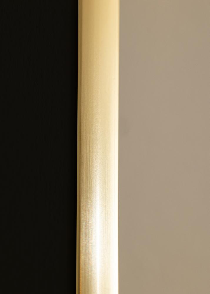 Ramme New Lifestyle Shiny Gold 50x70 cm - Passepartout Sort 42x59,4 cm (A2)