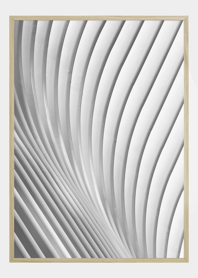 Calatrava Lines Plakat