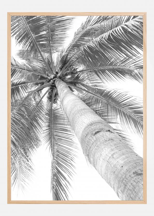 Black and white palmtree Plakat