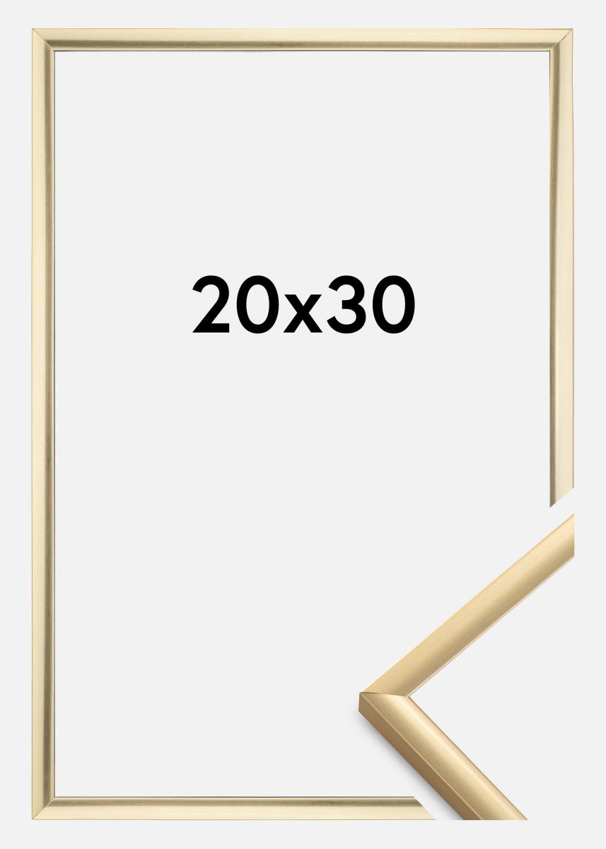 Ramme New Lifestyle Akrylglas Guld 20x30 cm