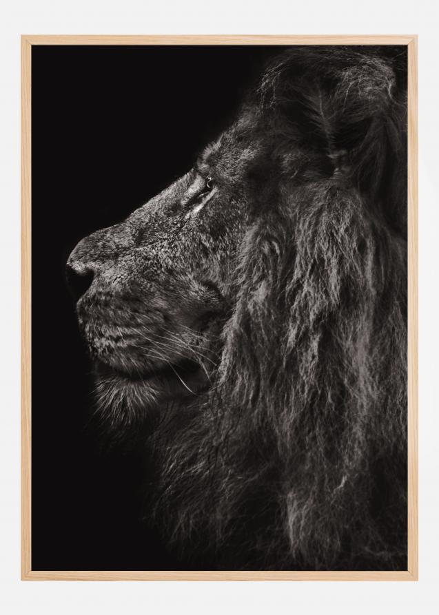 Lion In Profile Plakat