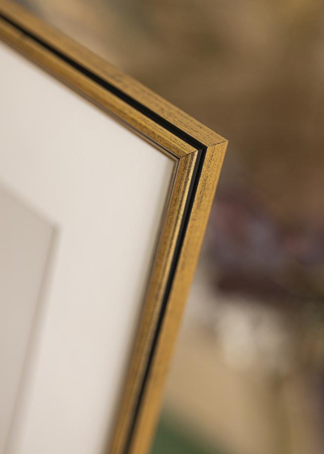 Ramme Horndal Akrylglas Guld 50x70 cm