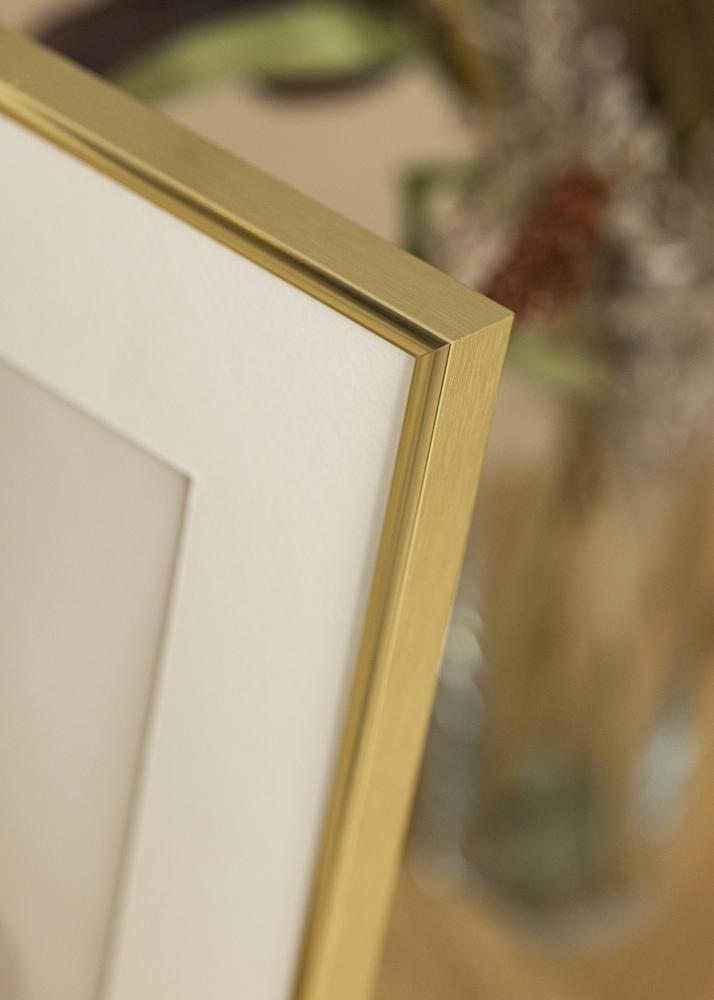 Ramme Visby Akrylglas Blank Guld 50x70 cm