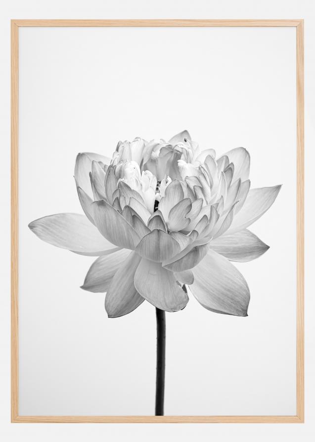 Grey flower Plakat