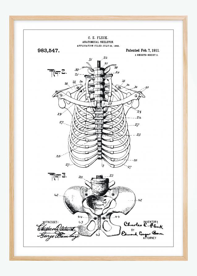 Patenttegning - Anatomisk Skelet II Plakat