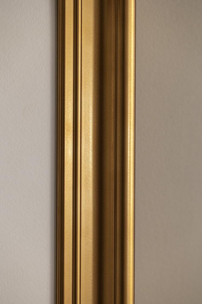 Ramme Mora Premium Guld 61x91,5 cm