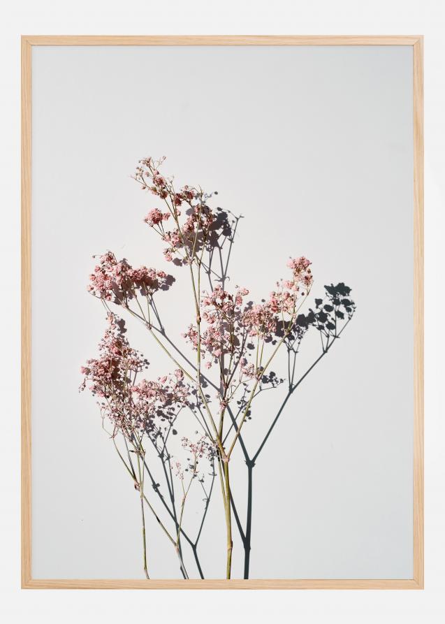 Dried flowers II Plakat