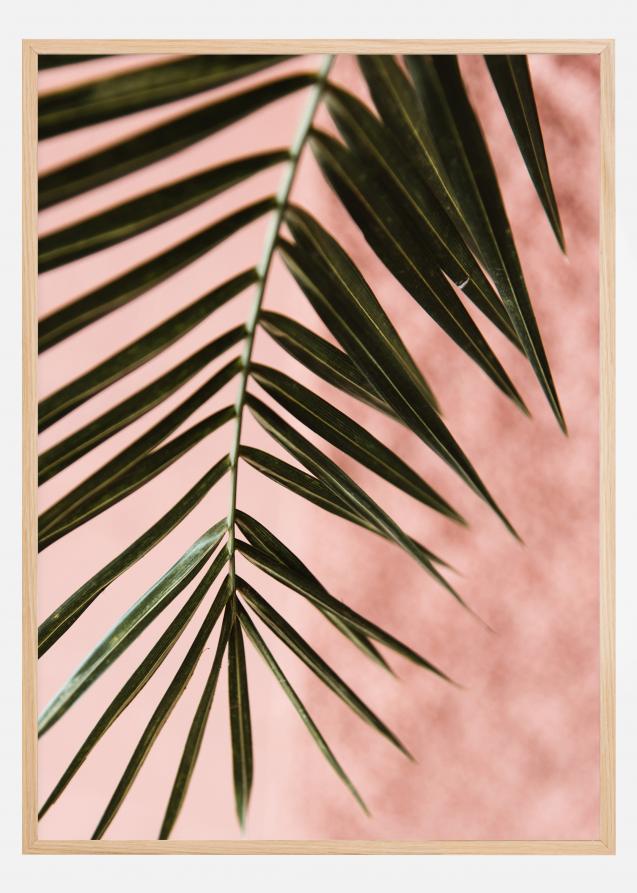 Pink pastell palm Plakat