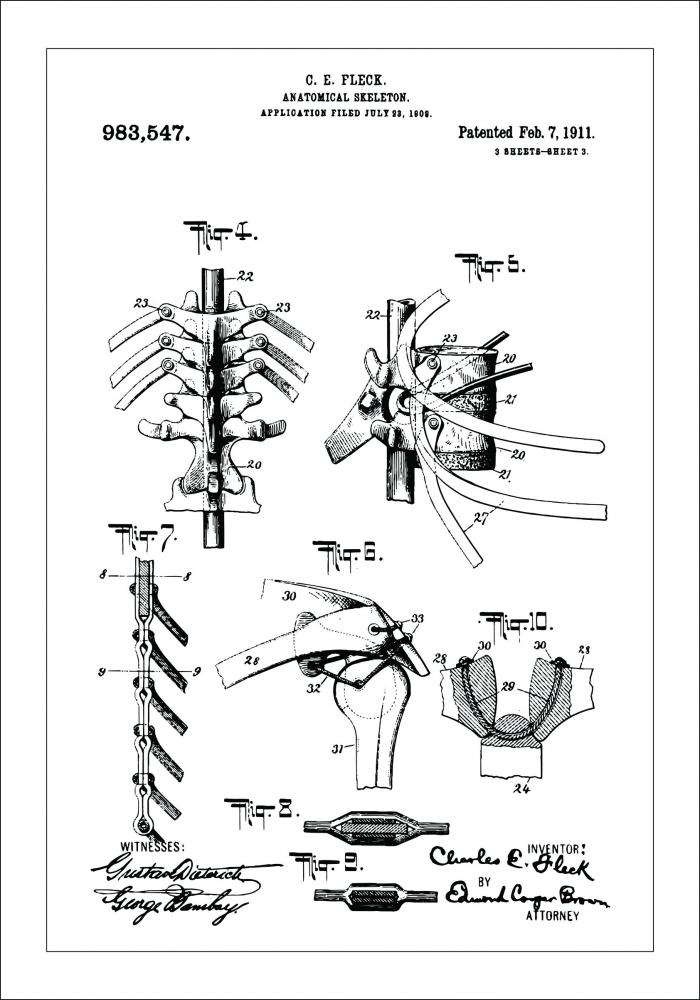 Patenttegning - Anatomisk Skelet III Plakat