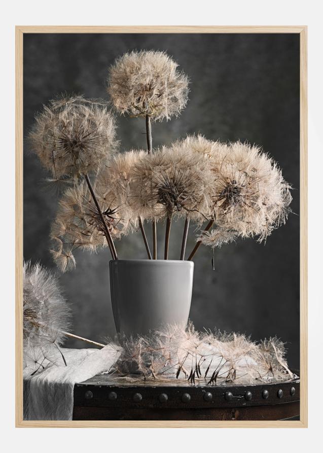 Dandelion Seed Pod Plakat