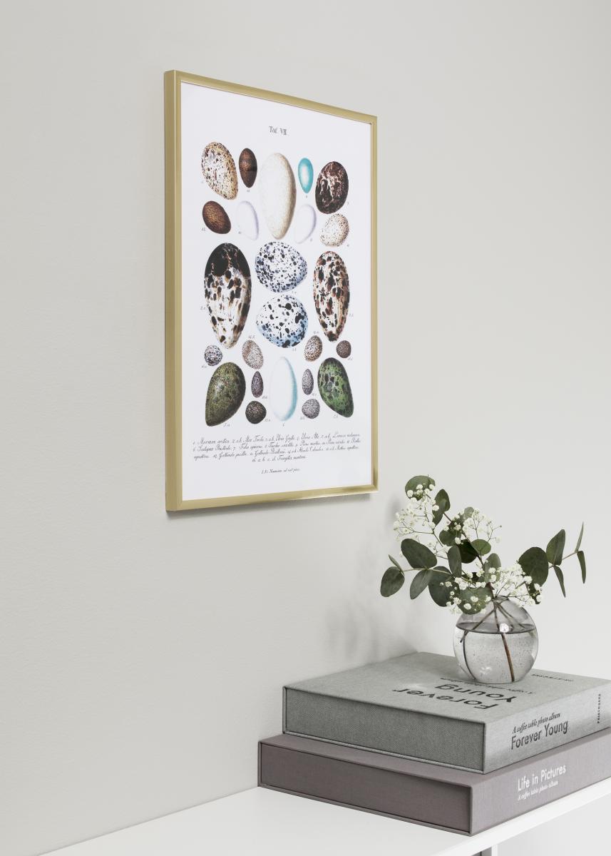 Ramme New Lifestyle Guld 50x70 cm
