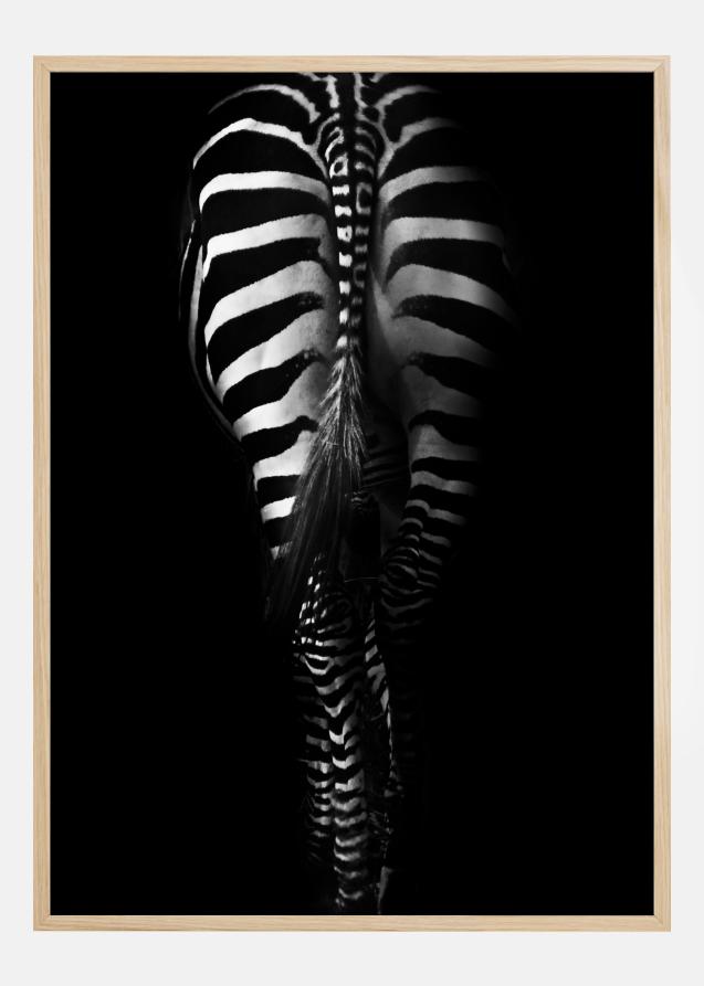 Zebra Tail Plakat