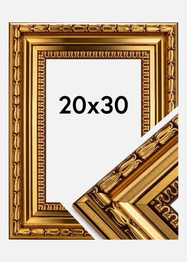 Ramme Birka Premium Guld 20x30 cm
