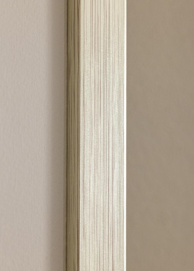 Ramme Silver Wood 25x50 cm