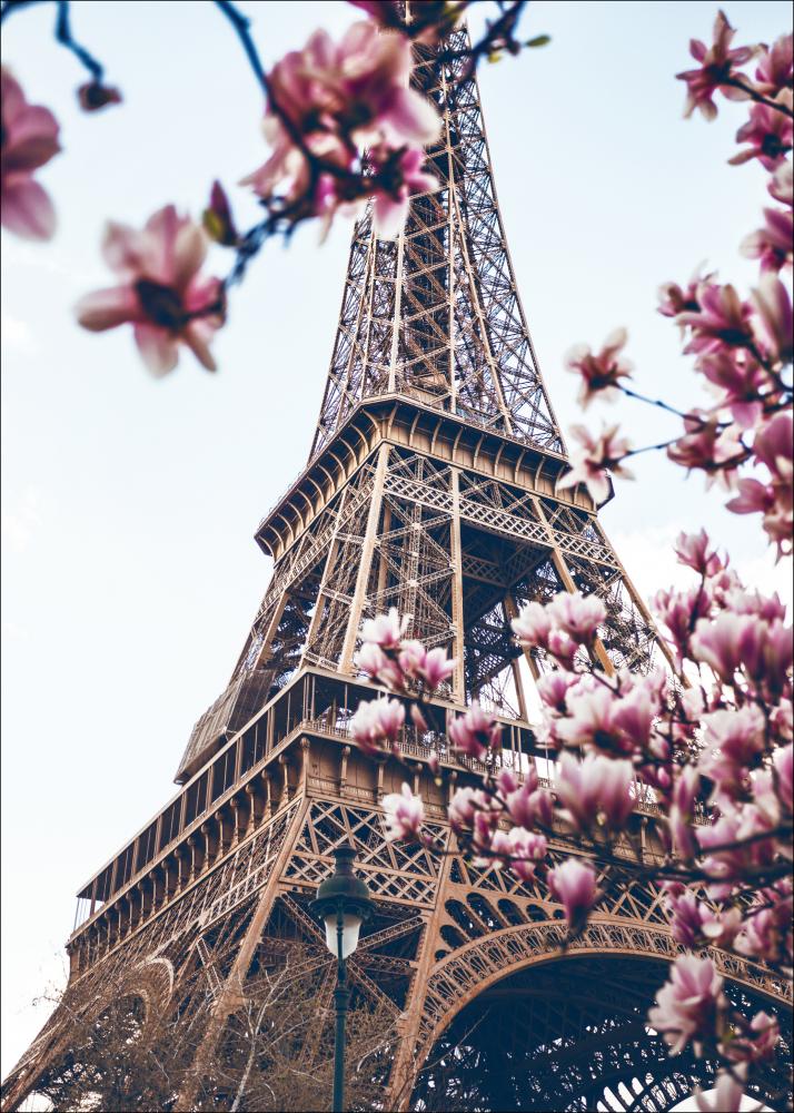 Eiffel Tower Blossoms