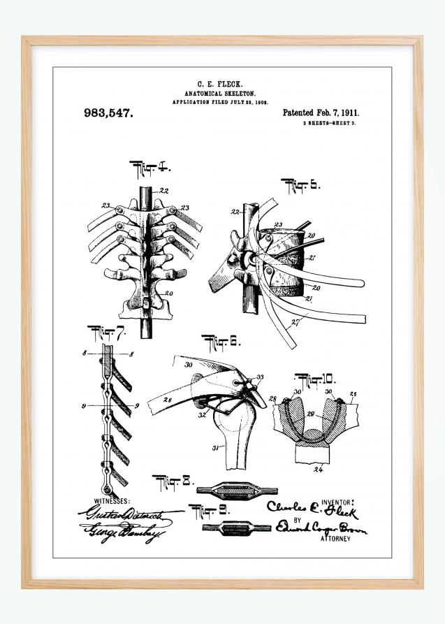 Patenttegning - Anatomisk Skelet III Plakat