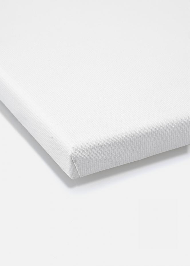 Malerlrred Premium Hvid 18x24 cm