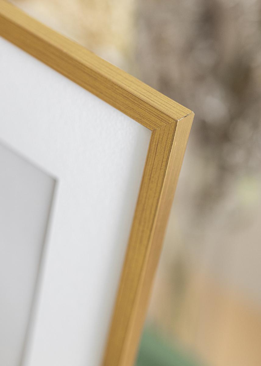 Køb Ramme Edsbyn Akrylglas Guld 25x30 cm her BGA.DK