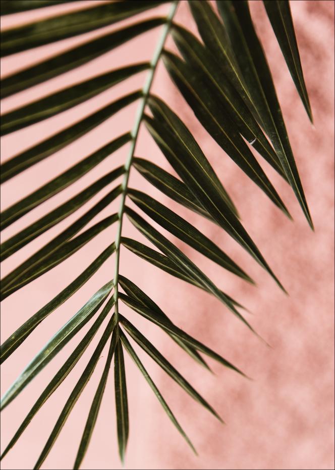 Pink pastell palm