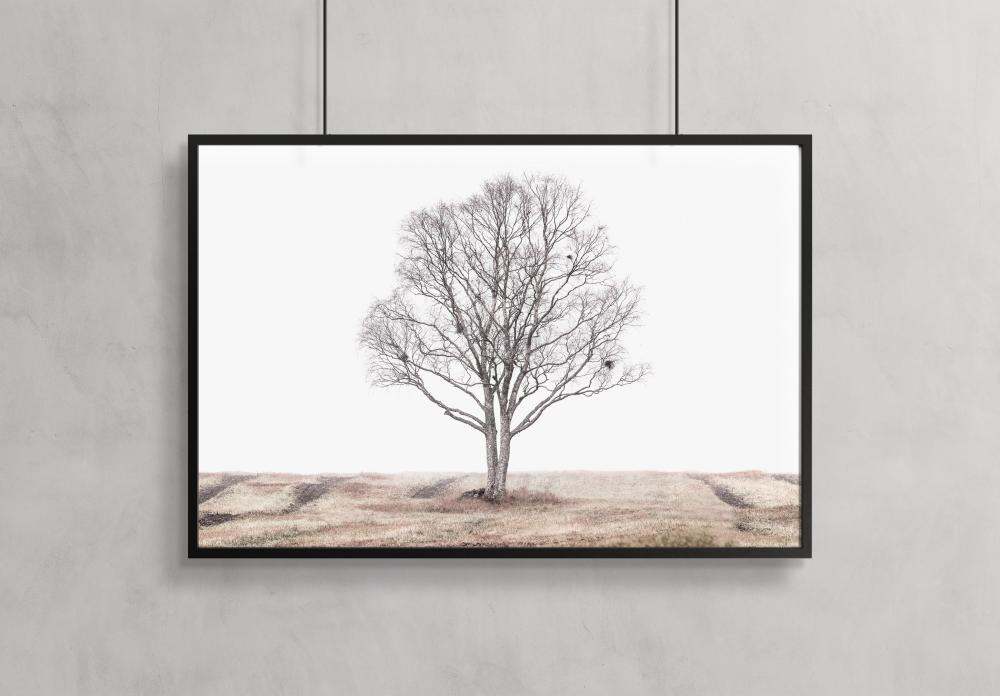 The lonely tree Plakat