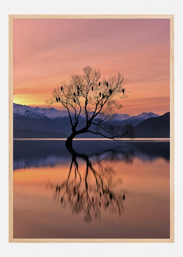 Lone Tree Is Not Lonely Plakat
