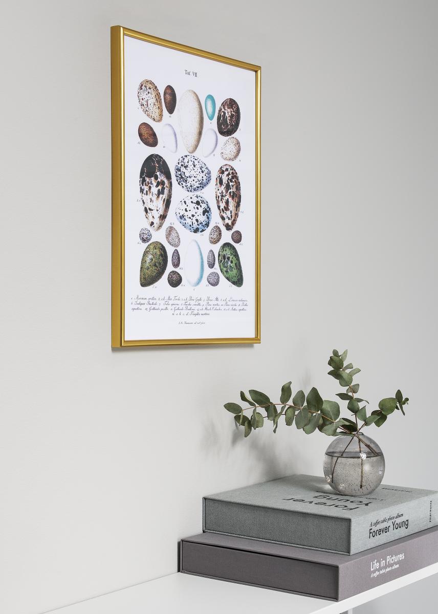 Decoline ramme Akrylglas Guld 60x80 cm