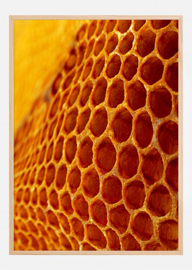 Honey Plakat