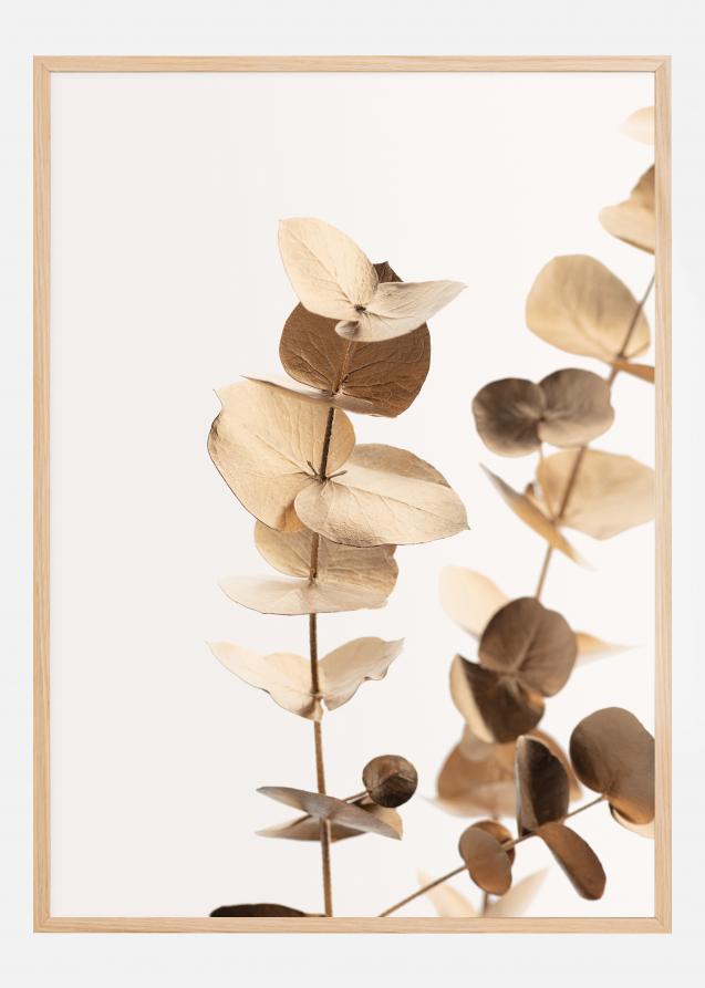 Eucalyptus Gold I Plakat