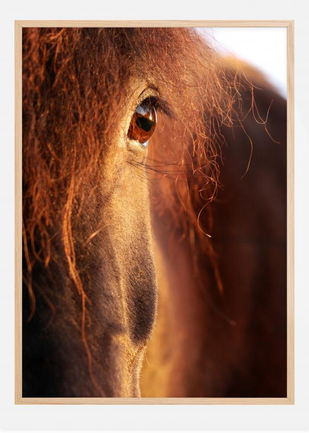 Horse sunset Plakat