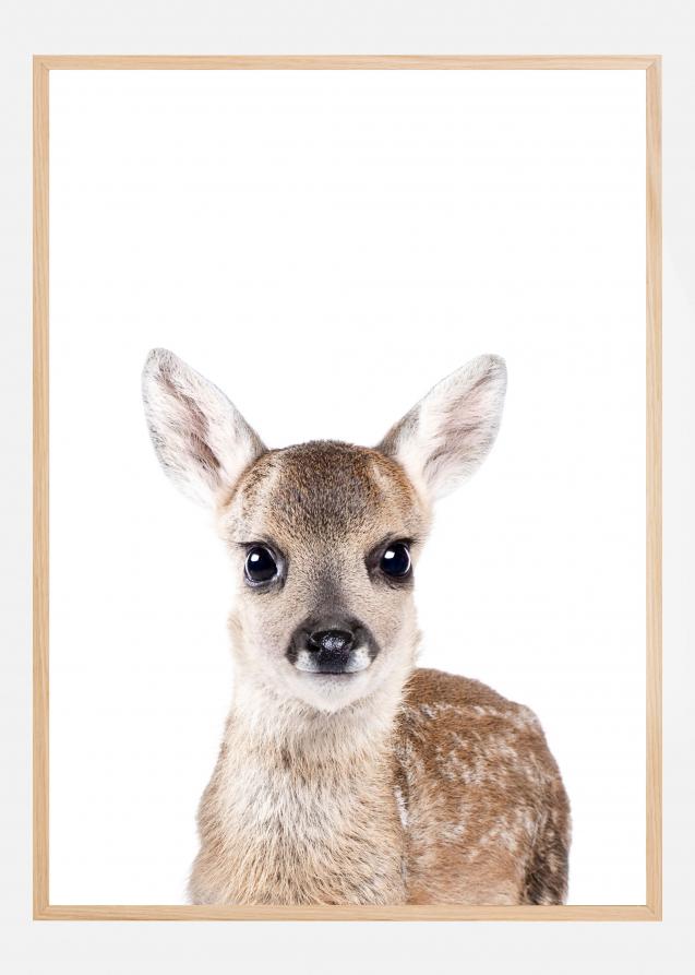 Baby Deer Plakat