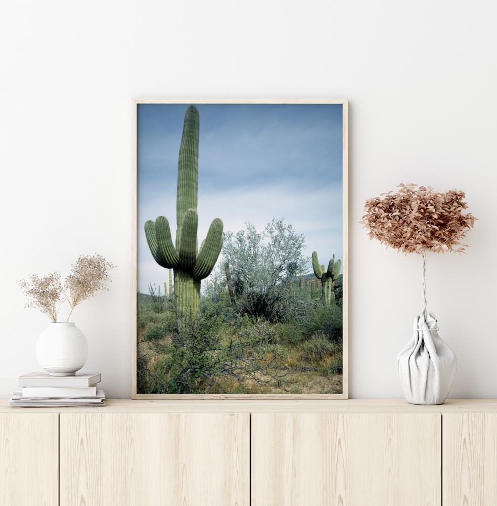 Cactus Land Plakat