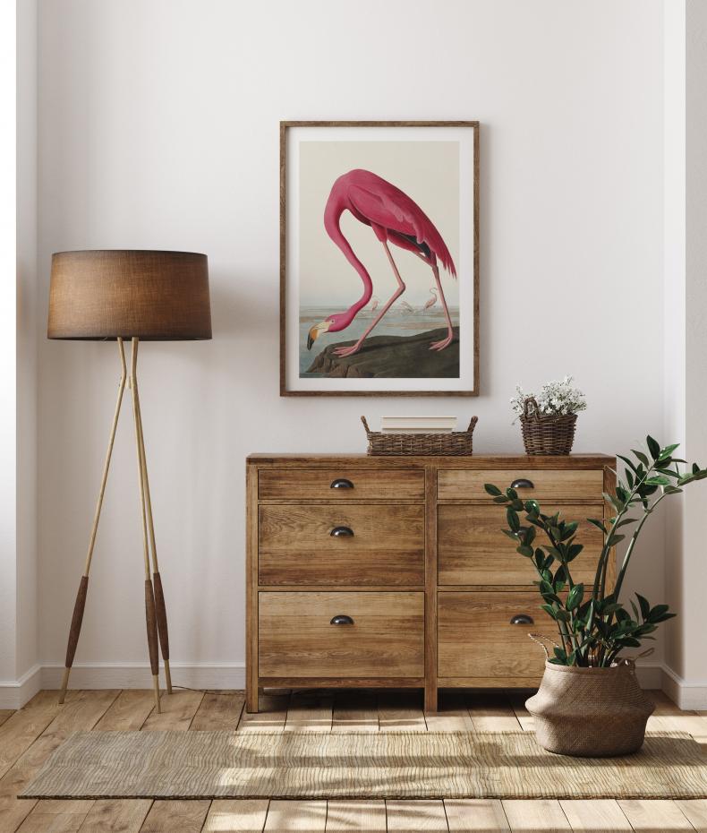 American Flamingo Plakat