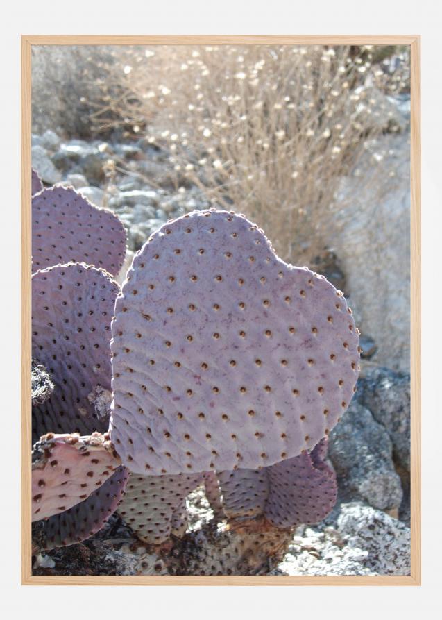 Cactus Plakat