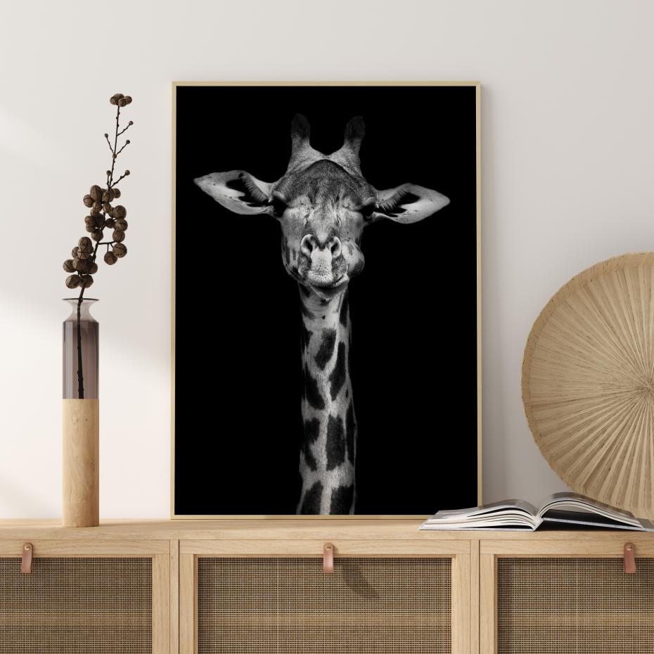 Chewing Giraffe Plakat