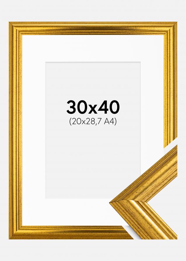 Ramme Västkusten Guld 30x40 cm - Passepartout Hvid 21x29,7 cm (A4)