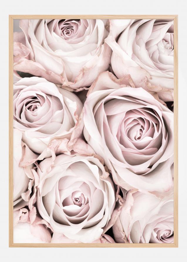 Pink Roses Plakat