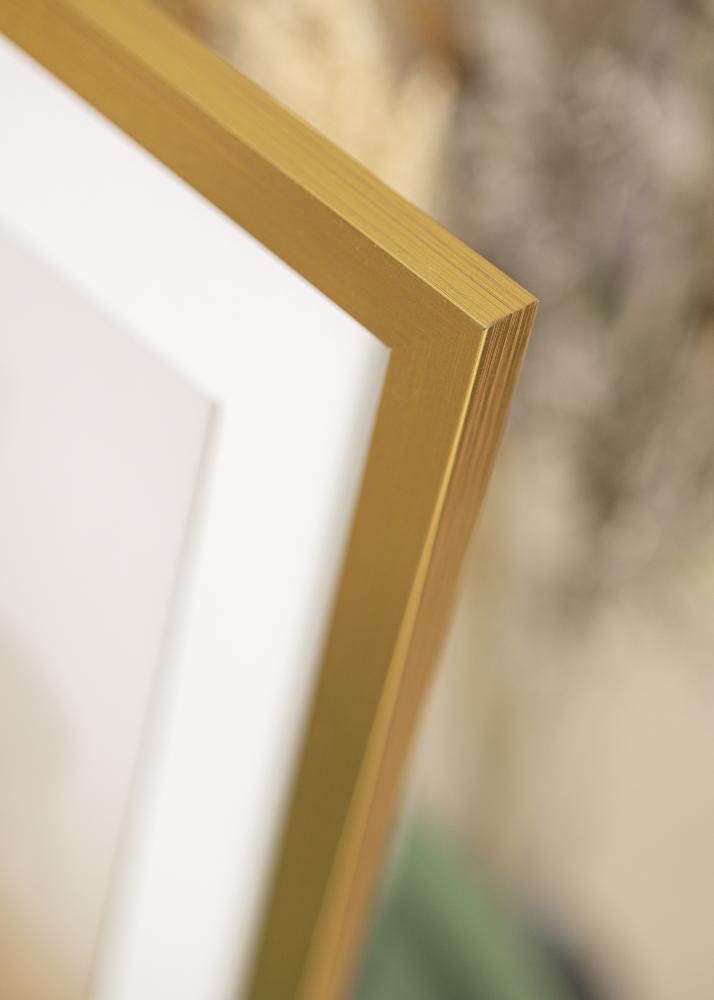 Ramme Gold Wood Akrylglas 55x70 cm