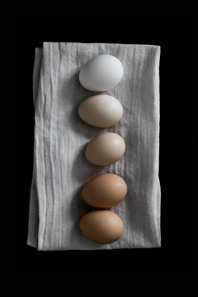 Farm eggs Plakat