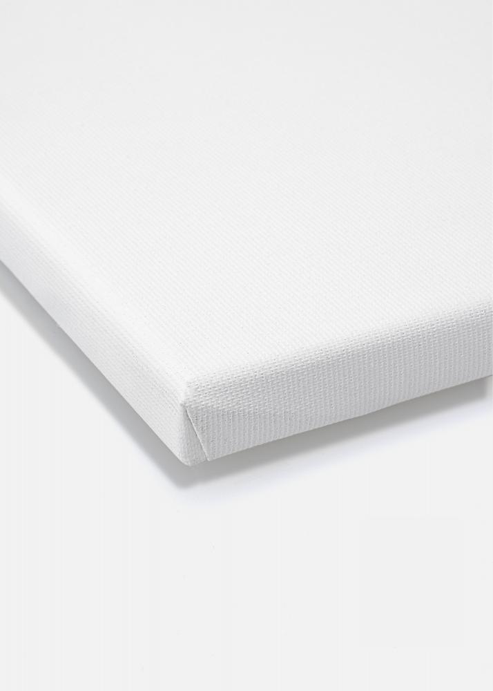 Malerlrred Premium Hvid 40x50 cm