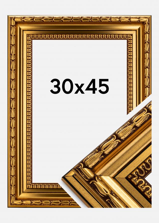 Ramme Birka Premium Guld 30x45 cm