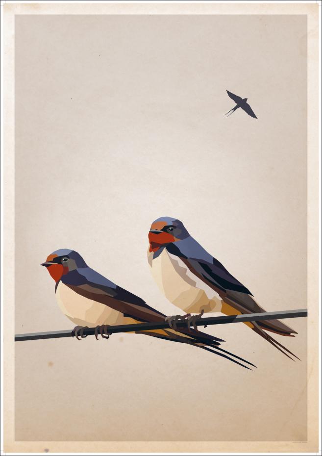 Swallows Plakat